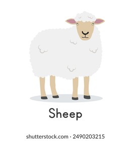 Sheep vector illustration. Cute sheep cartoon clipart, animal in flat style. Farm animals concept, rural farming. Livestock animal sheep vector design isolated on white background