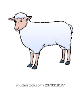 sheep vector illustration,isolated on white background,top view