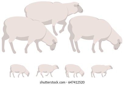 Sheep vector personage for illustration and animation