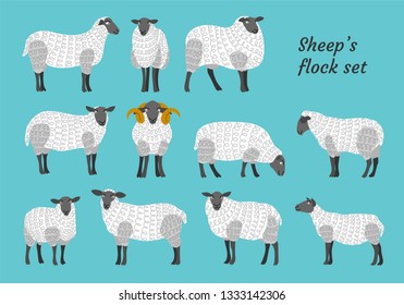 Sheep vector set flock group with cute funny cartoon characters. Lamb poddy ewe jumbuck mutton childish infantile. Comic comical decoration textile fabric cloth. 
