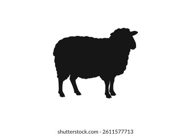 Sheep vector silhouette, flat style, monochrome design, isolated on a white background