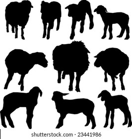 Sheep vector silhouettes
