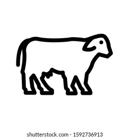 sheep vector thin line icon 