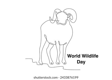 A sheep is walking and looking for food. World wildlife day