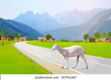 Sheep walking on road in Alps mountains