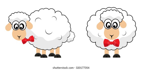 sheep white
