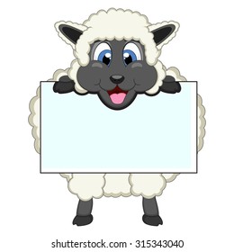 Sheep with white board