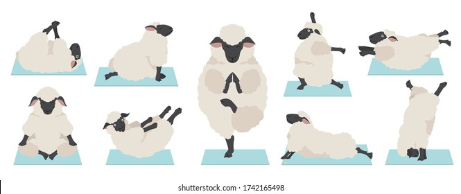 El yoga de oveja es una colección. Animales de granja. Diseño plano. Ilustración del vector