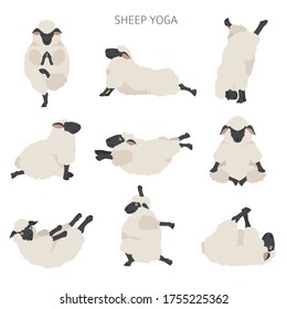 Sheep yoga poses collection. Farm animals set. Flat design. Vector illustration