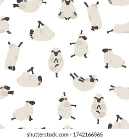 Sheep yoga poses seamless pattern. Farm animals set. Flat design. Vector illustration