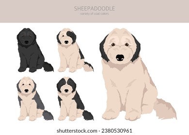 Sheepadoodle clipart. Old English Sheepdog Poodle mix. Different coat colors set.  Vector illustration