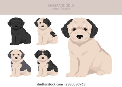 Sheepadoodle clipart. Old English Sheepdog Poodle mix. Different coat colors set.  Vector illustration