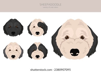 Sheepadoodle clipart. Old English Sheepdog Poodle mix. Different coat colors set.  Vector illustration