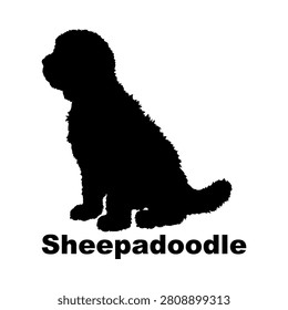Sheepadoodle dog breed icon logo design. Poodle crossbreed sign and symbol. Sheepadoodle icon. Pet boutique and grooming branding.