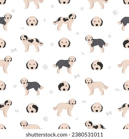 Sheepadoodle seamless pattern. Old English Sheepdog Poodle mix. Different coat colors set.  Vector illustration