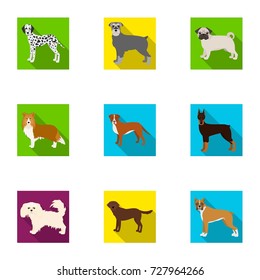 Sheepdog, dachshund, bernard, and other web icon in flat style.Spitz, boxer, beagle, icons in set collection.