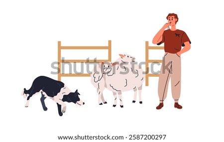 Sheepdog herding sheep. Canine trainer, handler, farmer teaching, educating work dog, guardian, shepherd animal on farm, guarding livestock. Flat vector illustration isolated on white background