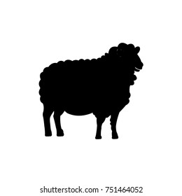 Sheep,icon vector illustration