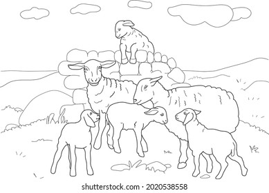 92,950 Sheep color Images, Stock Photos & Vectors | Shutterstock