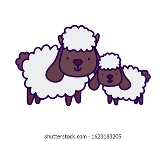 sheeps bovine family farm animal cartoon vector illustration