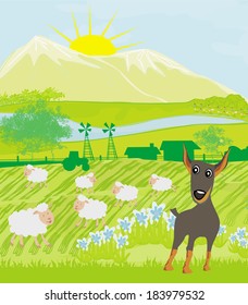 sheeps and dog 