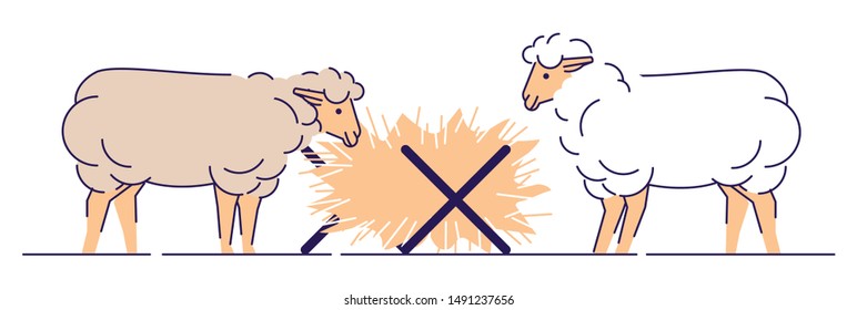 Sheeps eating hay flat vector illustration. Livestock farming, animal husbandry cartoon concept with outline.  