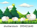 Sheeps living on the farmyard illustration