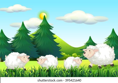 Sheeps living on the farmyard illustration