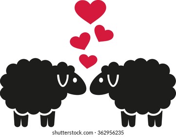 Sheeps in love with hearts