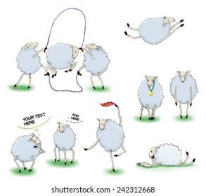 Sheeps playground
