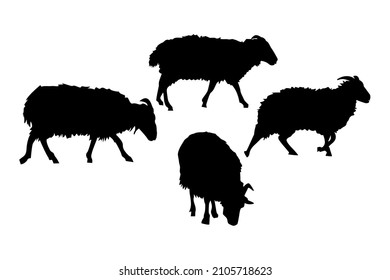 Sheeps silhouettes set isolated on white background. Farm animals. Animal husbandry and breeding of sheep. Butchery, meat or sheeps wool shop logo template. Stock vector illustration