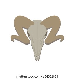 Sheep's skull  Head ram  Vector illustration