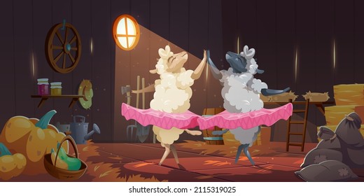 Sheeps in tutu dancing ballet in barn on farm. Vector cartoon illustration of old wooden shed interior with straw, hay, garden tools, pumpkins and dance of cute sheeps ballerinas in pink skirts