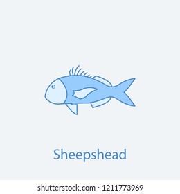 sheepshead 2 colored line icon. Simple light and dark blue element illustration. sheepshead concept outline symbol design from fish set