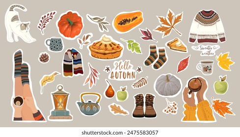 Sheet of Autumn stickers, cute, cozy design elements. Set of fall twigs with leaves, foliage, berries, pumpkins, sweater, socks, tea cup. Colored flat vector illustration isolated on white background