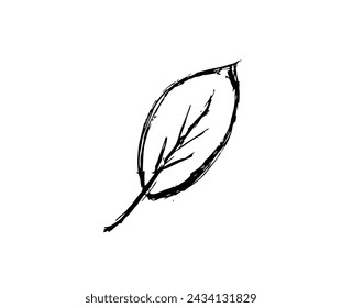 contorno negro de hoja sobre fondo blanco, boceto