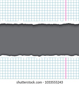 Sheet of cells torn paper frame realistic vector