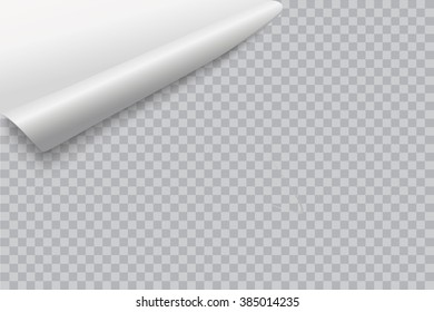 sheet of curled paper with a transparent background