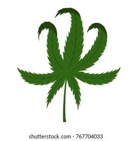 Sheet of green hemp. Vector illustration of a cannabis green leaf. 