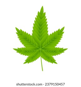 La hoja de cáñamo se aísla sobre un fondo blanco. Icono de hoja de cannabis. Plantas medicinales de origen vegetal. Cáñamo natural. Adicción humo de drogas Diseño ilegal de narcóticos marihuana. Ilustración del vector