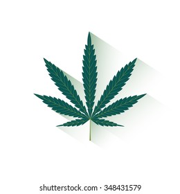 sheet of hemp is isolated on a white background