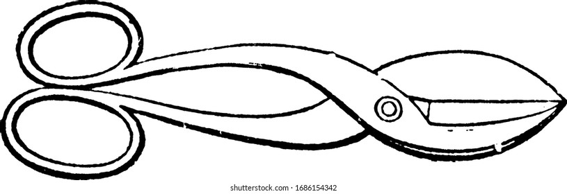 Sheet metal Shears, vintage illustration.