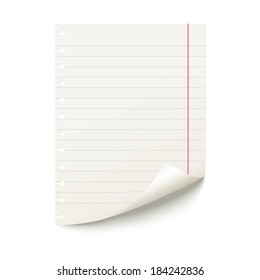 Sheet of notebook line on a white background