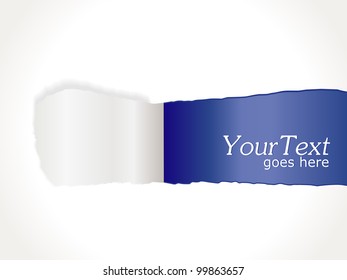 Sheet of paper with the curled, vector