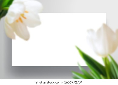 A sheet of paper or layout of the website page with shadow and large tulip flowers in the foreground. Realistic top view mockup for spring, wedding or branding design