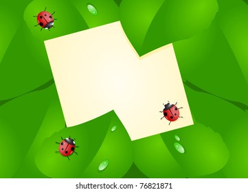 Sheet of paper located among the green leaves with creeping ladybirds