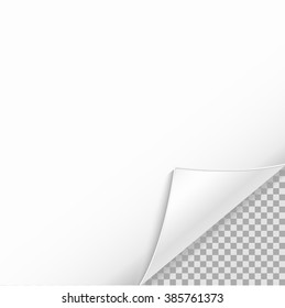 A sheet of paper on transparent background. White realistic sheet of paper vector illustration. You can use is for text, title, nice, advertisement, label. A sheet of paper with a wrapped area