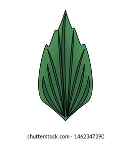 sheet plant nature leaf isolated cartoon vector illustration graphic design
