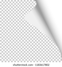 Sheet of transparent paper with curled corner, soft shadow and white background under it. Template paper design. Vector illustration.