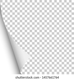 Sheet of transparent paper with curled lower left corner and white next page. Vector paper template.